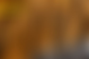 New York Moda Haftası Kürkü Yasakladı