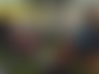 Modayı Yepyeni Bir Açıdan Görmenizi Sağlayacak Sürdürülebilir 5 Film Daha
