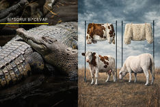 Onların derisi, bizim stilimiz olabilir mi?