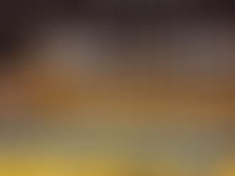 東京選手権カデット予選