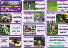 News in Nature July 2021