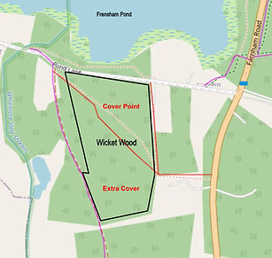 Wicket Wood with sections named