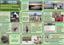 News in Nature December 2021