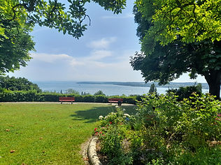 20250621_144126.jpg