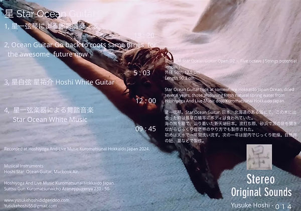 11112025 Star Ocean Guitar Album Jacket.jpg