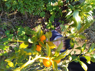 LINE_ALBUM_R4 12月活動_221229_612.jpg
