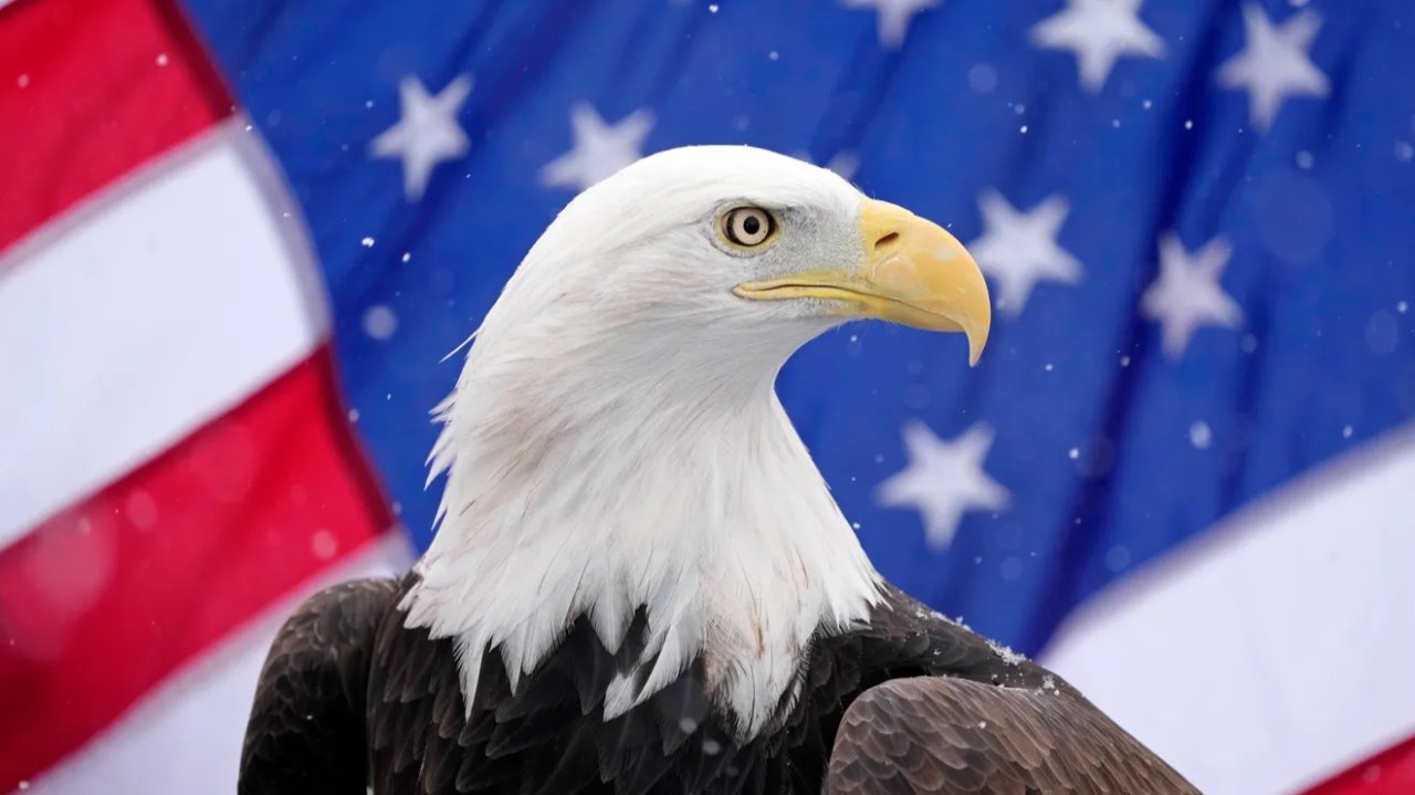 ree