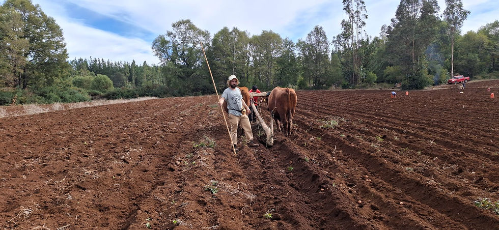 Imagen de WhatsApp 2025-04-15 a las 10.22.12_0ee8734b.jpg