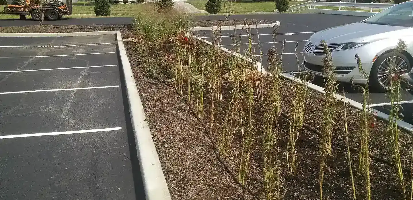 Landscaping has been recently done to improve a parking lot.