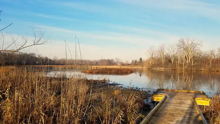 Wood boardwalk park feature with overlook viewing platform for pond and surrounding wildlife area.