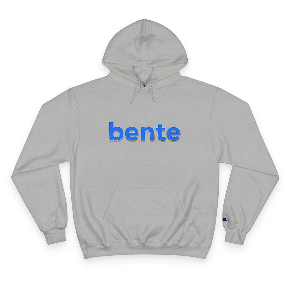 Thumbnail: bente champion hoodie