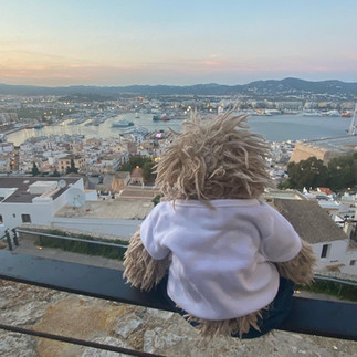 The Sober Sloth overlooks the port of Ibiza from  a balcony as the sun sets