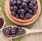 distribuidora-de-acai-em-nova-odessa