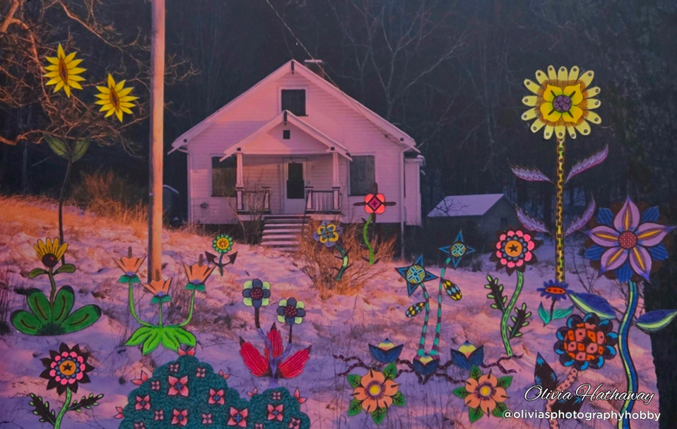 A boarded -up pink cabin in the snow. The house is a simple A-frame with a window at the peak, a small peaked porch roof beneath that, and a door below that with windows covered by plywood on either side. Tufts of dead grass stick up through the snow, and there is a shed in the background. There is a power pole in the left of the image. My hand-drawn abstract flowers are pasted over and around it in the foreground.