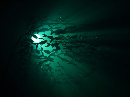 62a68d73-d6be-45b1-a464-ffc66c74ede1.jpeg