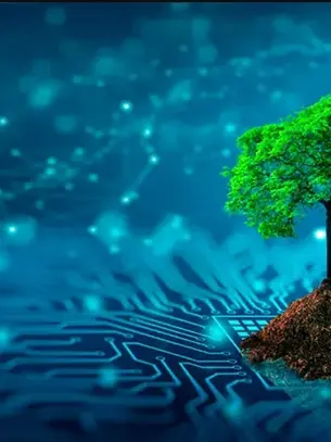 Como a Inteligência Artificial Pode Ajudar na Neutralização de CO₂