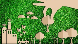 Neutralização de CO2 como solução para grandes empresas