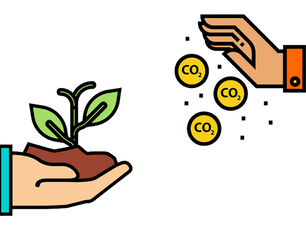 Crédito de carbono: o que é, como funciona e quais benefícios para minha empresa?