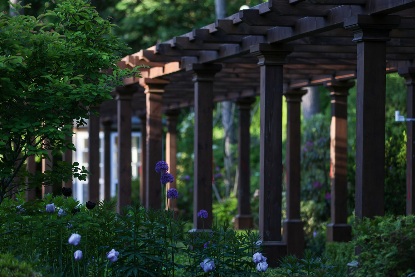 Dārza dizains / pergola