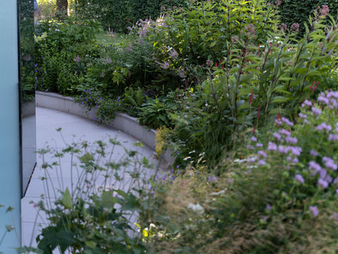 darza dizains / ziemcietes