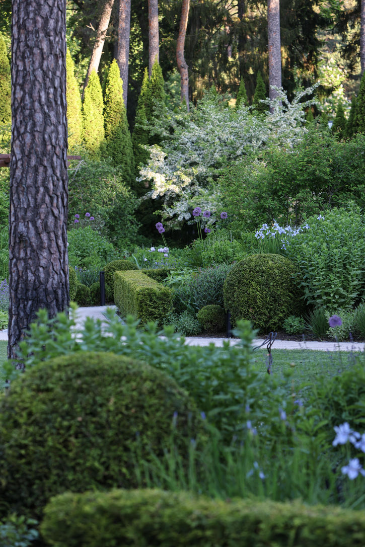 Dārza dizains / dārzu kopšana