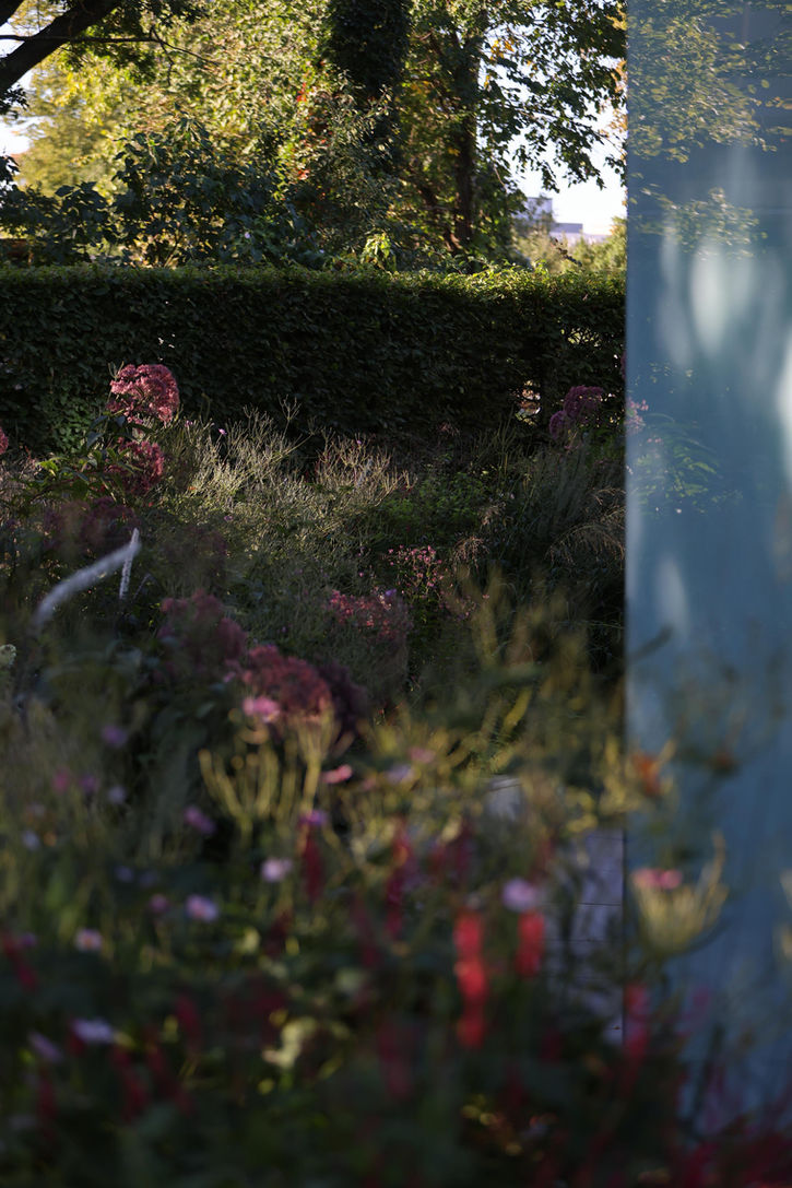 darza dizains / ziemcietes