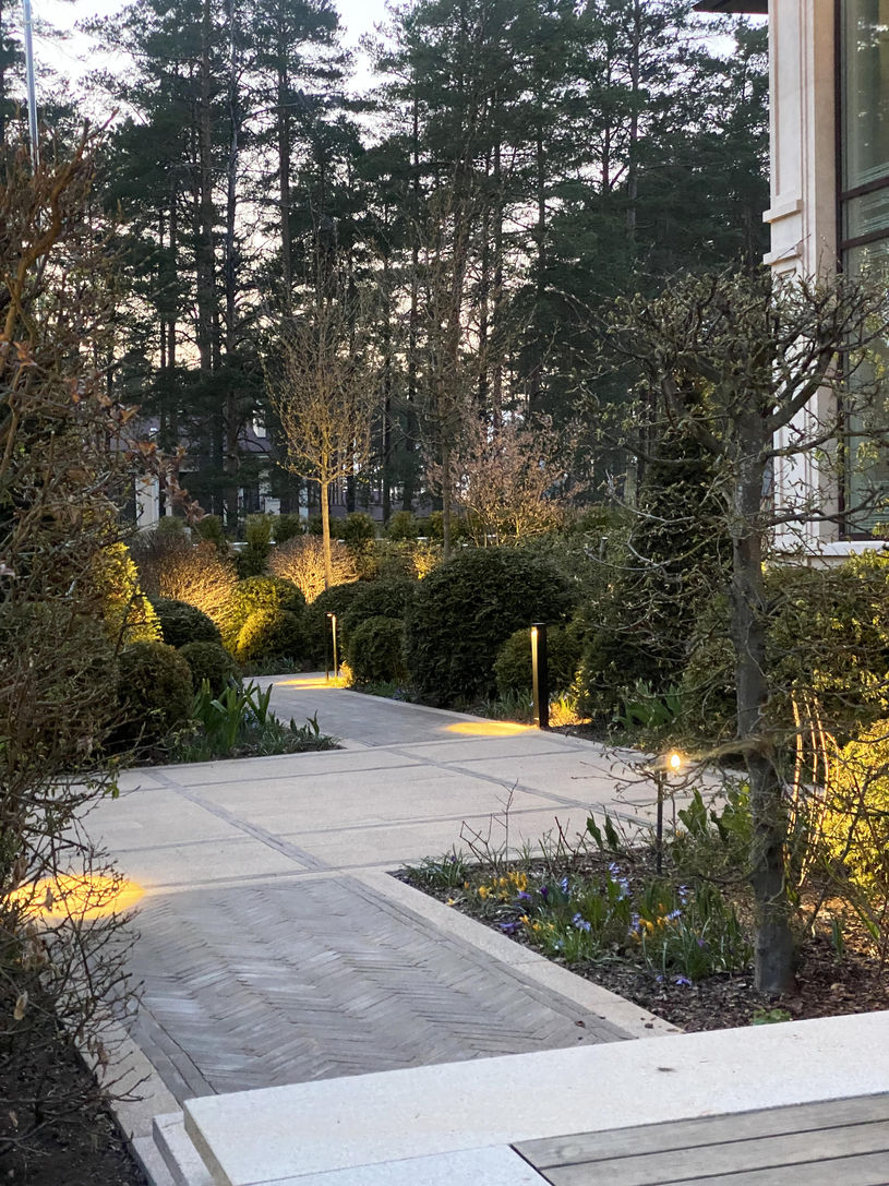 darza dizains / Sīpolpuķes