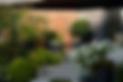 DSC07599.jpg