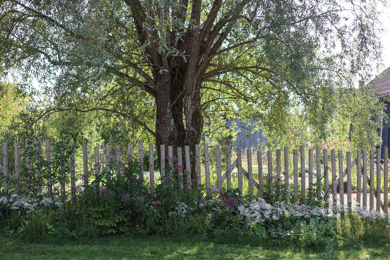 Garden Design / Landscape Architect