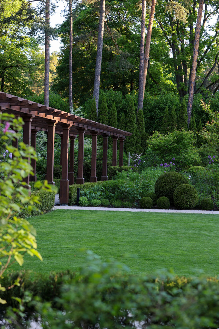 Dārza dizains / pergola