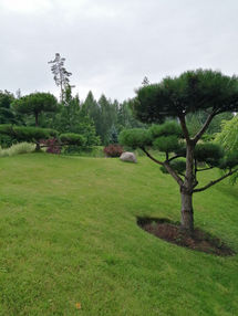 IMG_20200804_114114.jpg