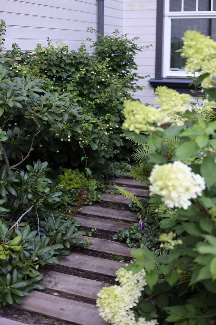 darza dizains / darza ierikošana