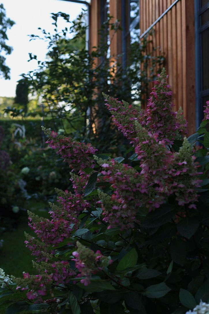 darza dizains / ziemcietes