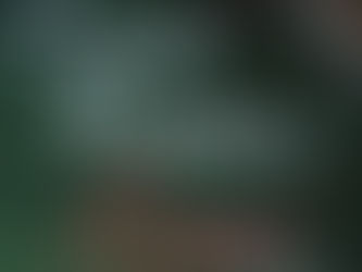 Iemīlēt sevi – izklausās vienkārši, bet patiesībā tik sarežģīti!