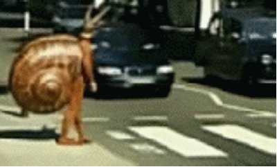 man in snal costume crossing the road