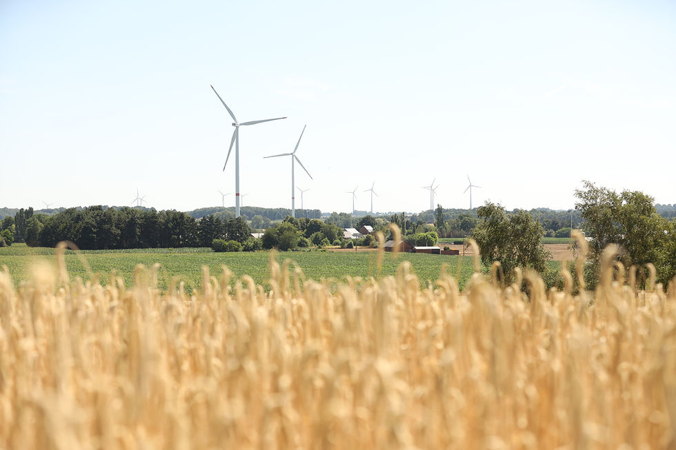 Kopie van IMGL9732.JPG