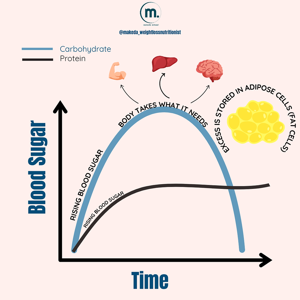 What Carbohydrates Do to Your Blood Sugar vs. Protein — And Why It Matters for Weight Loss