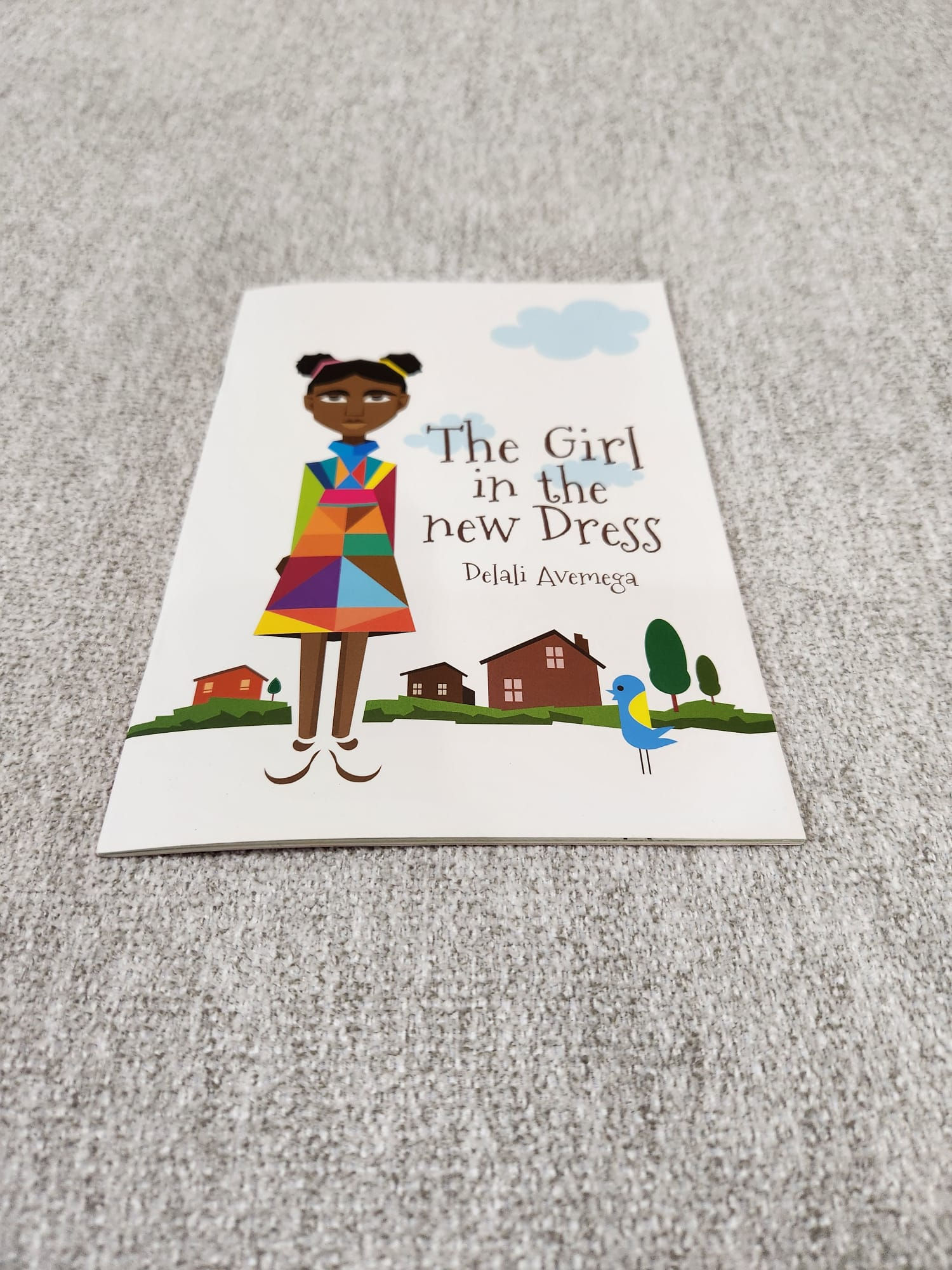 Fish & Plankton Lulu Book Series: The Girl in the New Dress