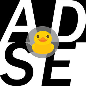 ADSE .jpg
