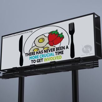 Nonprofit Ad Campaign