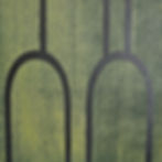 detail- mimicry