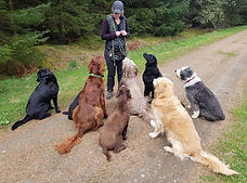 FB_IMG_1564239352239 (1) - Copy.jpg