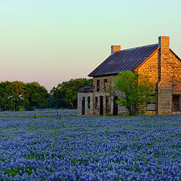 Beautiful house in a field