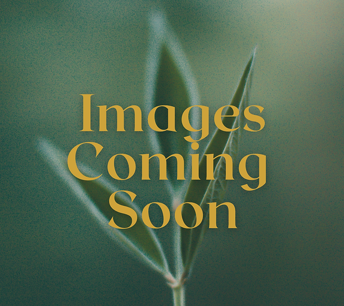 Images Coming Soon.png