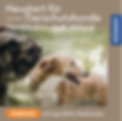 Webinar: Neustart für Tierschutzhunde
