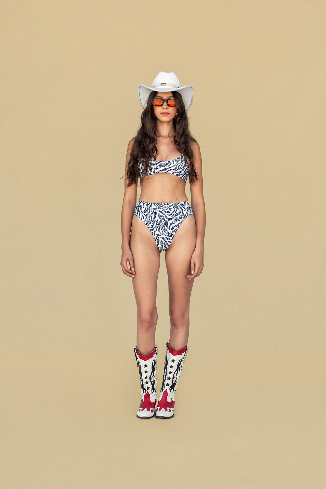 The Zebra Bikini