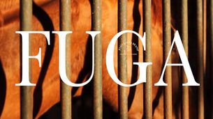 “FUGA” Fashion Film