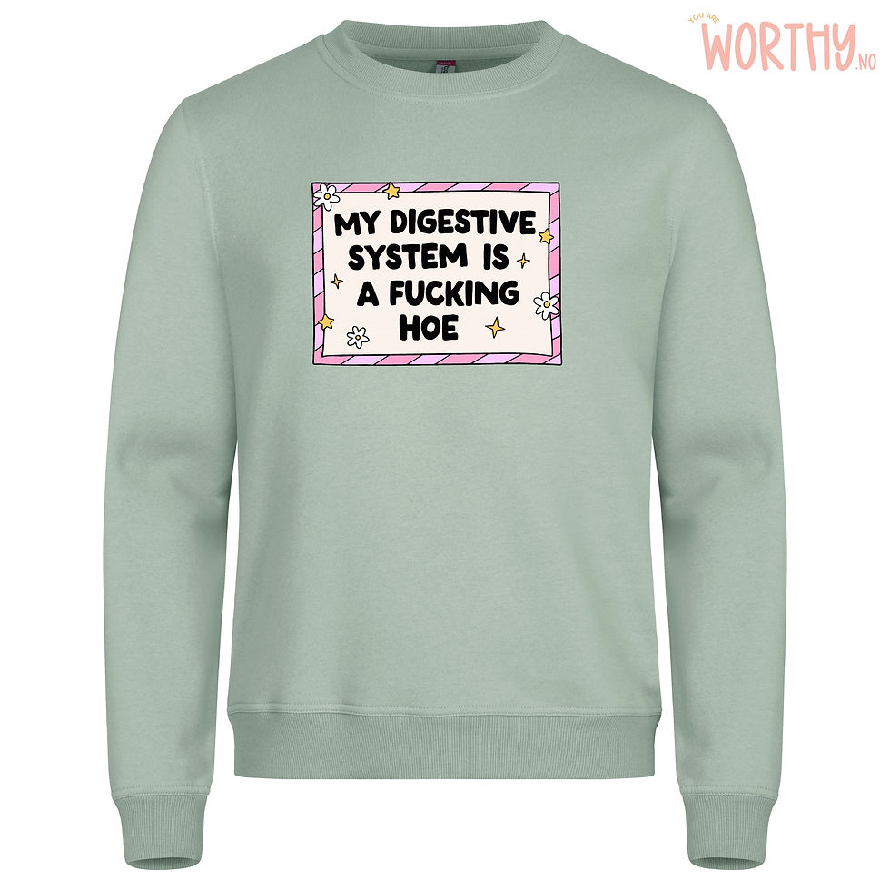 Miniatyrbilde: My digestive system is a f-ing hoe | Unisex Genser