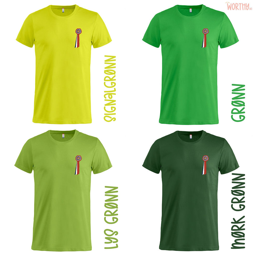 Miniatyrbilde: 17. mai sløyfe | Unisex T-skjorte