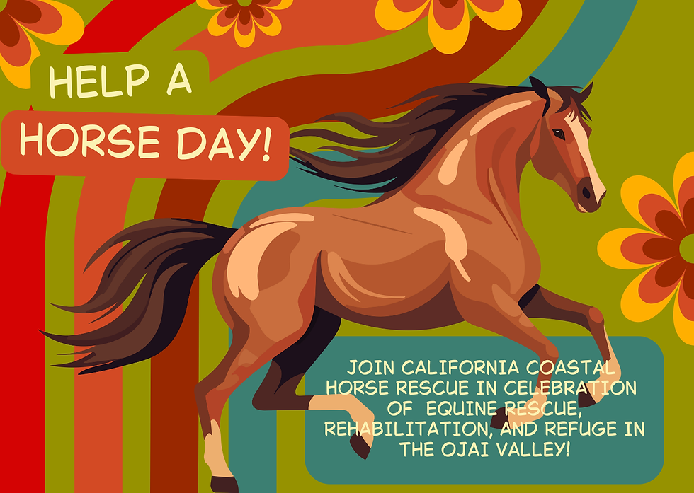 Help a Horse Day at CCHR!